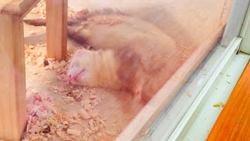 アニタッチ 東京ドームシティに投稿された画像（2024/11/24）