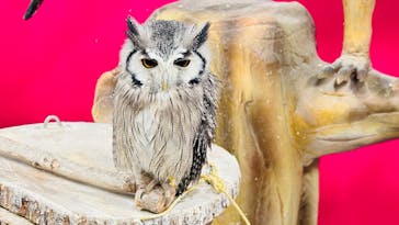 アニタッチ 東京ドームシティに投稿された画像（2024/11/24）