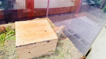 アニタッチ 東京ドームシティに投稿された画像（2024/11/24）