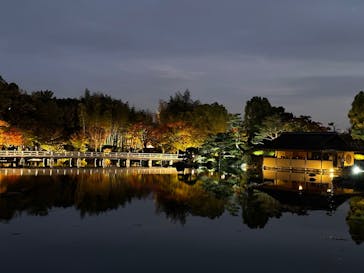 国営昭和記念公園 秋の夜散歩に投稿された画像（2024/11/24）