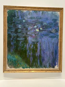 モネ 睡蓮のとき（国立西洋美術館）に投稿された画像（2024/11/24）