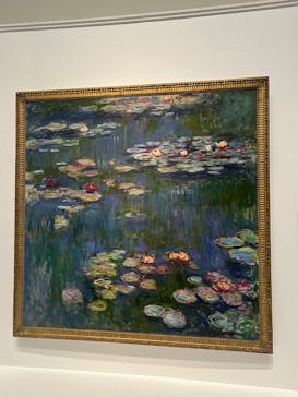モネ 睡蓮のとき（国立西洋美術館）に投稿された画像（2024/11/24）