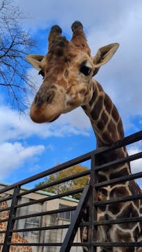 宇都宮動物園に投稿された画像（2024/11/24）