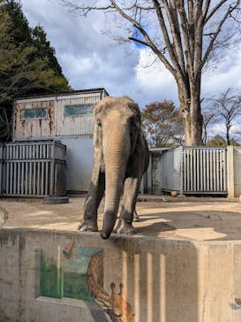 宇都宮動物園に投稿された画像（2024/11/24）