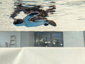 名古屋港水族館に投稿された画像（2024/11/24）