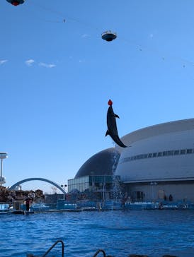 名古屋港水族館に投稿された画像（2024/11/24）