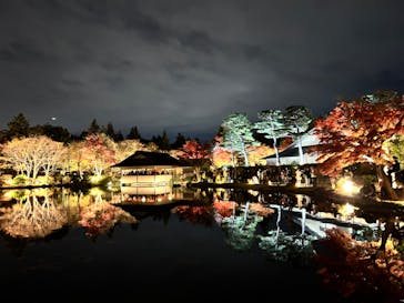 国営昭和記念公園 秋の夜散歩に投稿された画像（2024/11/24）