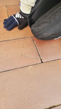 島根県立 しまね海洋館に投稿された画像（2024/11/24）