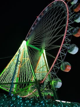 さがみ湖MORI MORIに投稿された画像（2024/11/24）