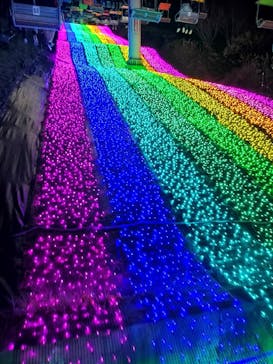 さがみ湖MORI MORIに投稿された画像（2024/11/24）