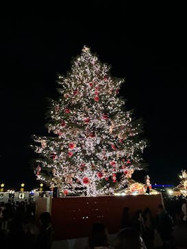 Christmas Market in 横浜赤レンガ倉庫 2025に投稿された画像（2024/11/24）