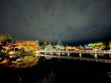 国営昭和記念公園 秋の夜散歩に投稿された画像（2024/11/24）