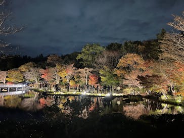 国営昭和記念公園 秋の夜散歩に投稿された画像（2024/11/24）
