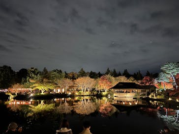国営昭和記念公園 秋の夜散歩に投稿された画像（2024/11/24）