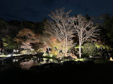 国営昭和記念公園 秋の夜散歩に投稿された画像（2024/11/24）