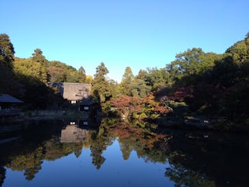 名古屋市東山動植物園に投稿された画像（2024/11/24）
