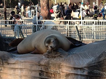 名古屋市東山動植物園に投稿された画像（2024/11/24）