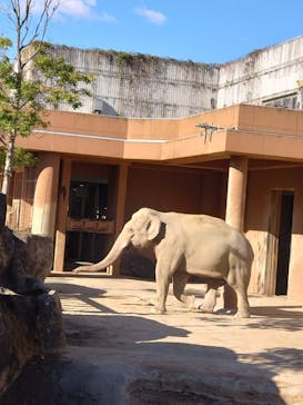 名古屋市東山動植物園に投稿された画像（2024/11/24）