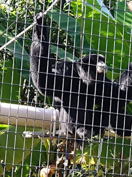 名古屋市東山動植物園に投稿された画像（2024/11/24）