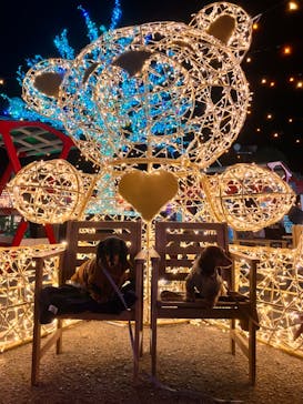 フェスタ・ルーチェに投稿された画像（2024/11/24）