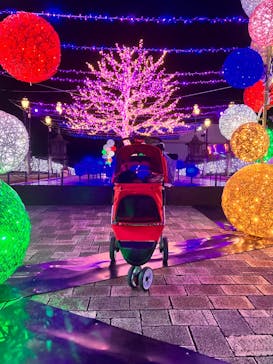 フェスタ・ルーチェに投稿された画像（2024/11/24）