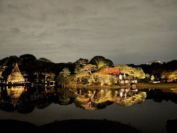 六義園に投稿された画像（2024/11/24）