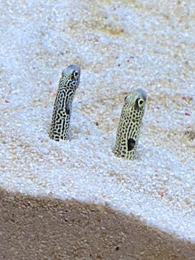 すみだ水族館に投稿された画像（2024/11/24）