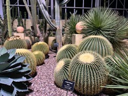 はままつフラワーパークに投稿された画像（2024/11/24）