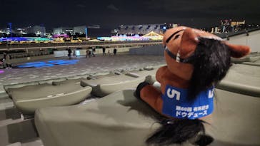 東京メガイルミに投稿された画像（2024/11/24）