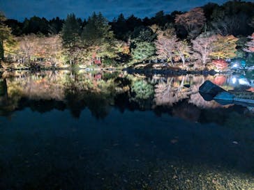 国営昭和記念公園 秋の夜散歩に投稿された画像（2024/11/24）