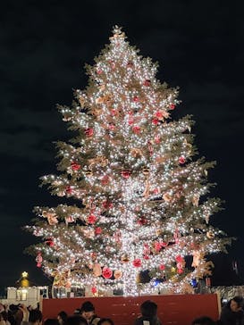 Christmas Market in 横浜赤レンガ倉庫 2025に投稿された画像（2024/11/24）