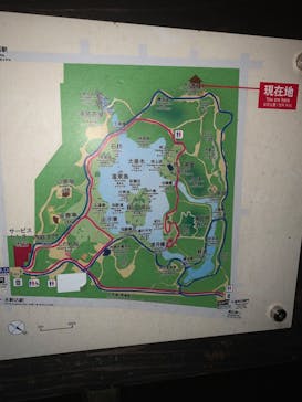 六義園に投稿された画像（2024/11/24）