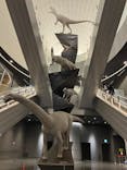 福井県立恐竜博物館に投稿された画像（2024/11/24）