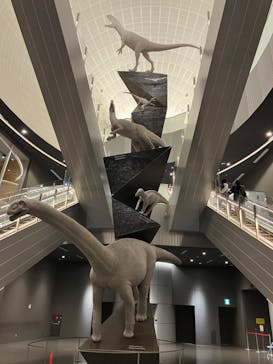 福井県立恐竜博物館に投稿された画像（2024/11/24）