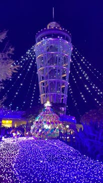 江の島シーキャンドルに投稿された画像（2024/11/24）