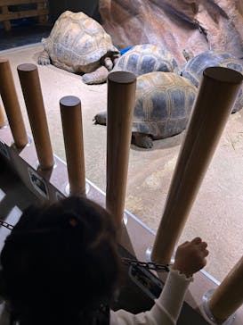 AQUARIUM × ART　atoaに投稿された画像（2024/11/24）