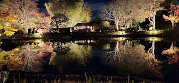 国営昭和記念公園 秋の夜散歩に投稿された画像（2024/11/24）