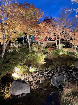 国営昭和記念公園 秋の夜散歩に投稿された画像（2024/11/24）