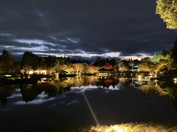 国営昭和記念公園 秋の夜散歩に投稿された画像（2024/11/24）