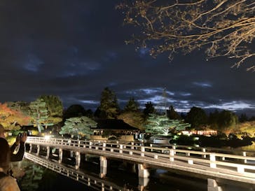 国営昭和記念公園 秋の夜散歩に投稿された画像（2024/11/24）