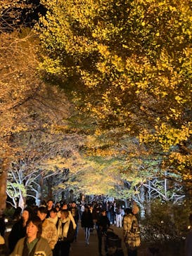 国営昭和記念公園 秋の夜散歩に投稿された画像（2024/11/24）