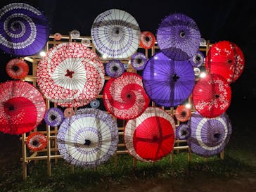 国営昭和記念公園 秋の夜散歩に投稿された画像（2024/11/24）