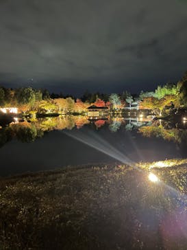 国営昭和記念公園 秋の夜散歩に投稿された画像（2024/11/24）