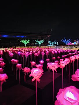 東京メガイルミに投稿された画像（2024/11/24）