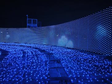 東京メガイルミに投稿された画像（2024/11/24）