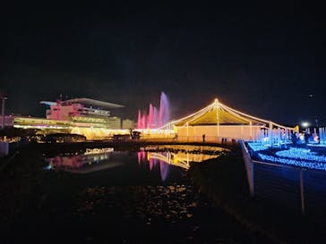 東京メガイルミに投稿された画像（2024/11/24）