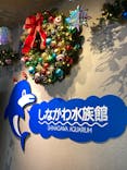 しながわ水族館に投稿された画像（2024/11/24）