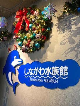 しながわ水族館に投稿された画像（2024/11/24）