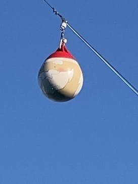 しながわ水族館に投稿された画像（2024/11/24）