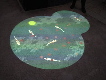 国営昭和記念公園 秋の夜散歩に投稿された画像（2024/11/24）